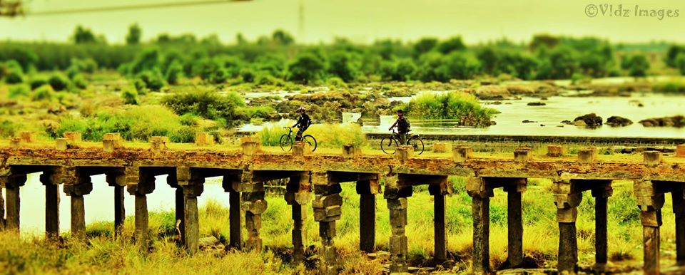 portfolio-image